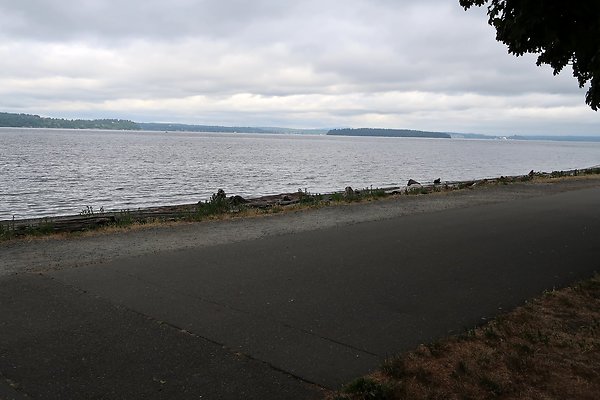Lincoln Park Waterside road 2025 - 15