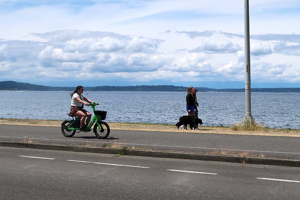 Alki Ave waterside road 2025 - 71