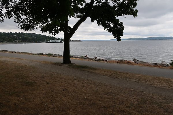 Lincoln Park Waterside road 2025 - 88