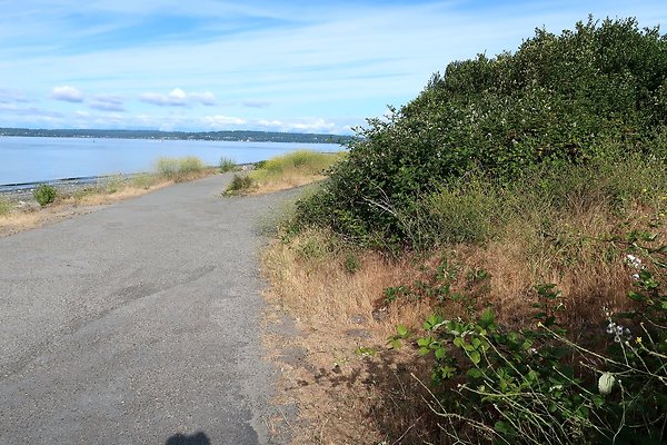 DiscoveryParkRoad Lighthouse2025 - 63
