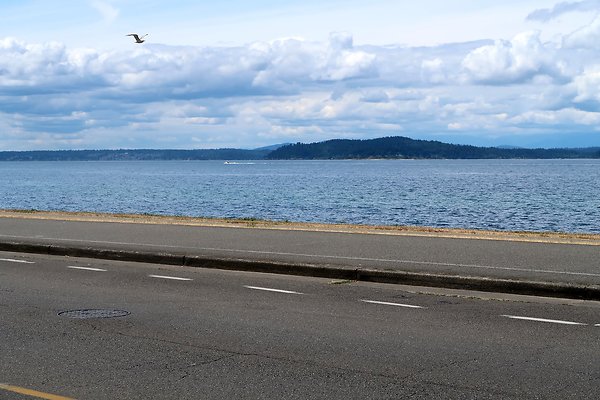 Alki Ave waterside road 2025 - 89