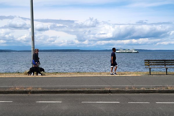 Alki Ave waterside road 2025 - 72