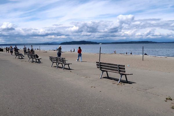 Alki Ave waterside road 2025 - 28
