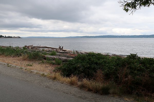 Lincoln Park Waterside road 2025 - 126