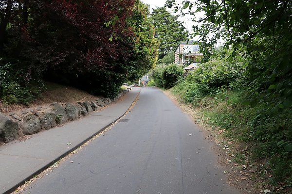 Lincoln Park Waterside road 2025 - 2