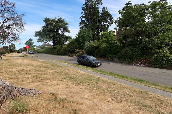 Magnolia Blvd Waterside Road - 40