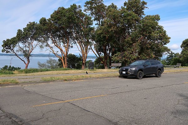 Magnolia Blvd Waterside Road - 6
