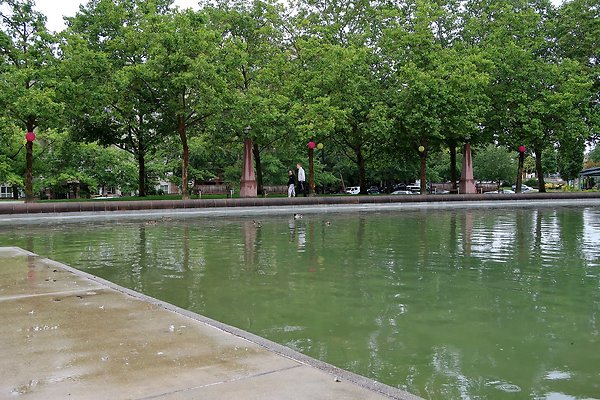 Bellevue Downtown Park 2025 - 33