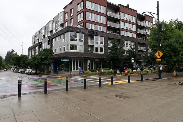 Bellevue Downtown Park 2025 - 4