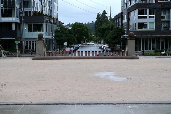 Bellevue Downtown Park 2025 - 43