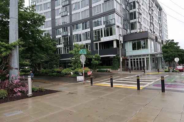 Bellevue Downtown Park 2025 - 2