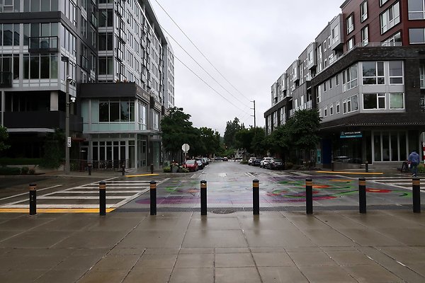 Bellevue Downtown Park 2025 - 3