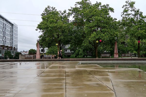 Bellevue Downtown Park 2025 - 32