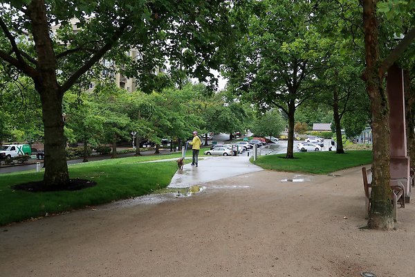 Bellevue Downtown Park 2025 - 44