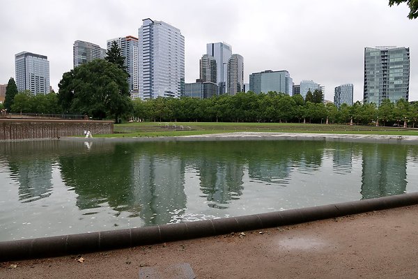Bellevue Downtown Park 2025 - 63