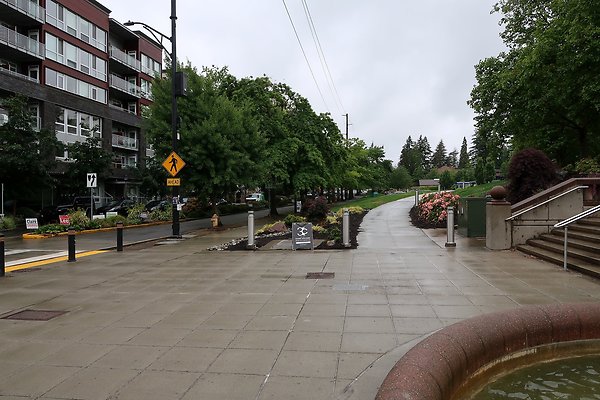 Bellevue Downtown Park 2025 - 5