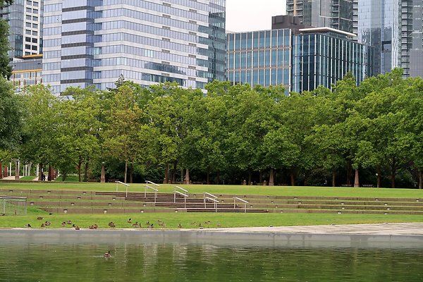 Bellevue Downtown Park 2025 - 68