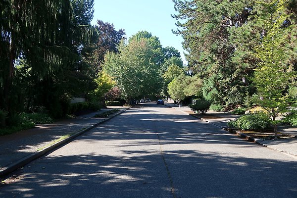 Madison Park Residential Streets 2025 - 57