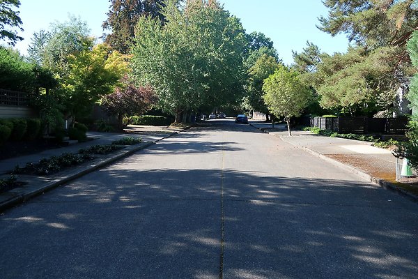 Madison Park Residential Streets 2025 - 64