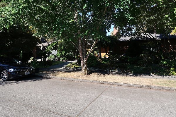 Madison Park Residential Streets 2025 - 47