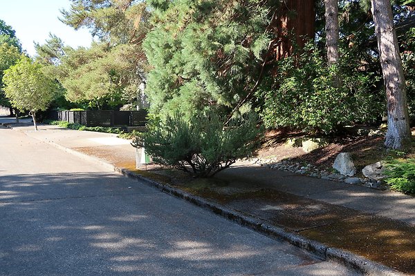 Madison Park Residential Streets 2025 - 65