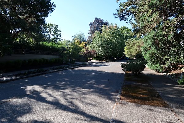 Madison Park Residential Streets 2025 - 62