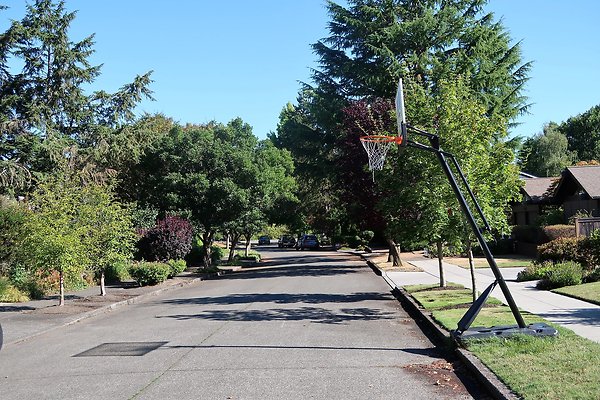 Madison Park Residential Streets 2025 - 51