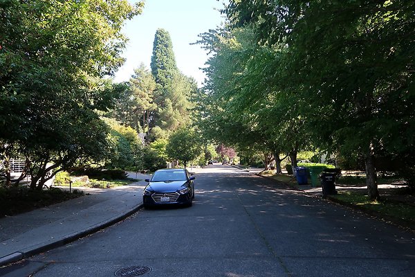 Madison Park Residential Streets 2025 - 79