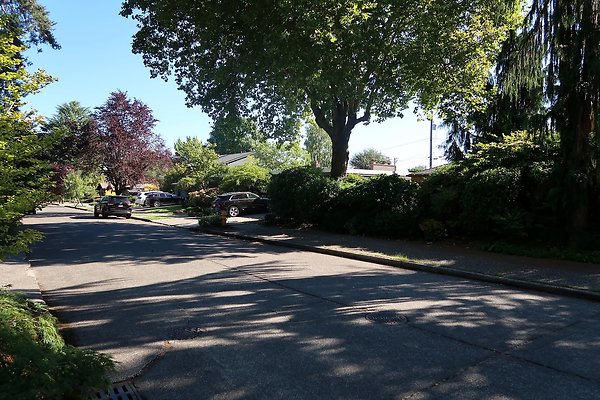 Madison Park Residential Streets 2025 - 59