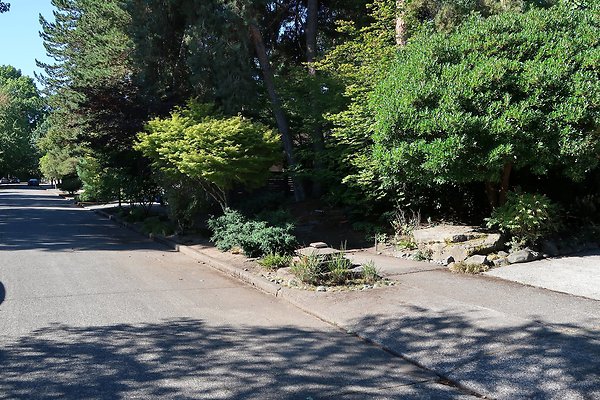 Madison Park Residential Streets 2025 - 54