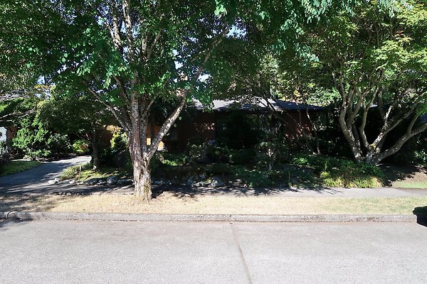 Madison Park Residential Streets 2025 - 48