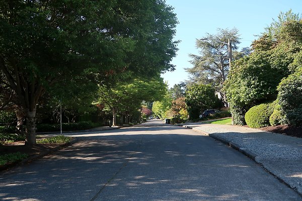 Madison Park Residential Streets 2025 - 8
