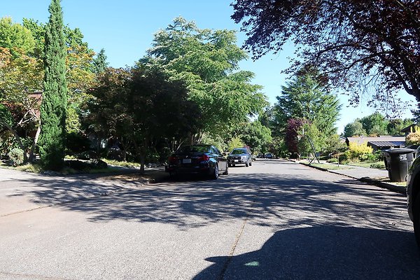 Madison Park Residential Streets 2025 - 71