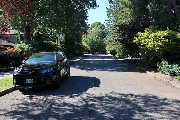 Madison Park Residential Streets 2025 - 53