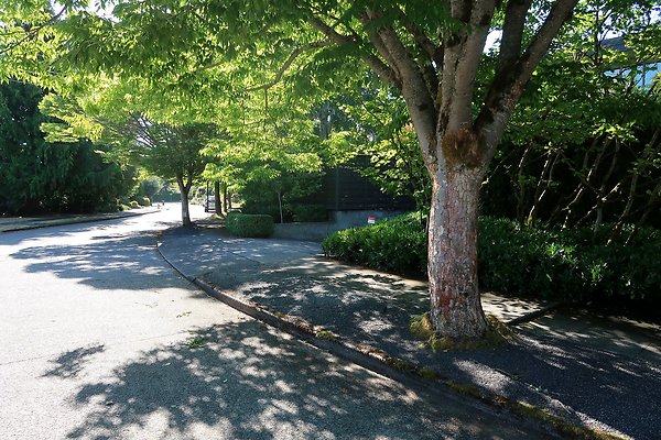 Madison Park Residential Streets 2025 - 25