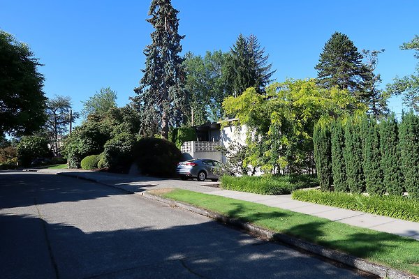 Madison Park Residential Streets 2025 - 7