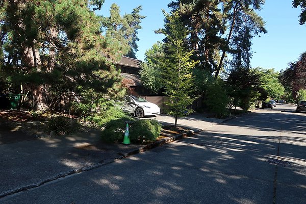 Madison Park Residential Streets 2025 - 66