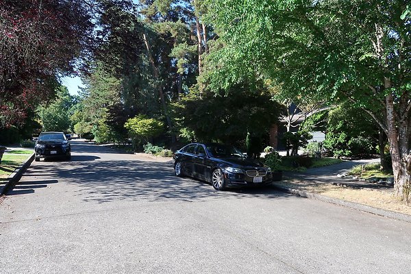 Madison Park Residential Streets 2025 - 46