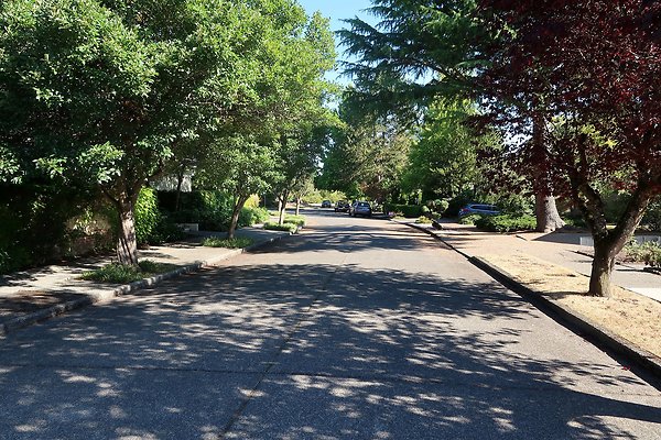 Madison Park Residential Streets 2025 - 36