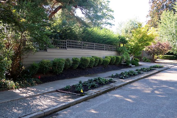 Madison Park Residential Streets 2025 - 63