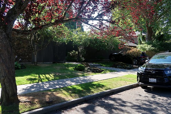 Madison Park Residential Streets 2025 - 52