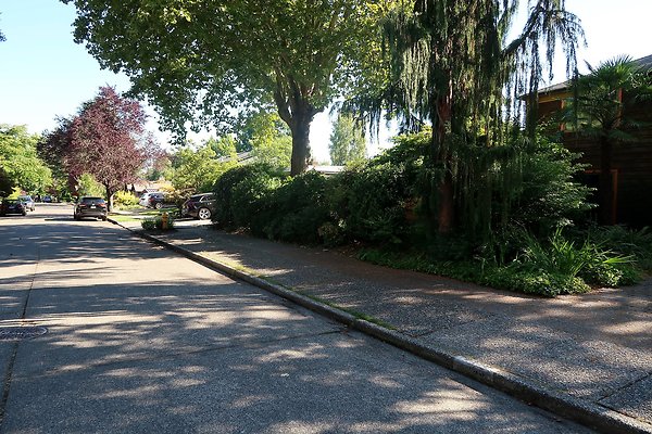 Madison Park Residential Streets 2025 - 68