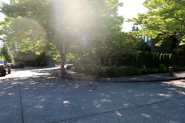 Madison Park Residential Streets 2025 - 12