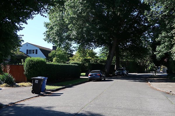 Madison Park Residential Streets 2025 - 80
