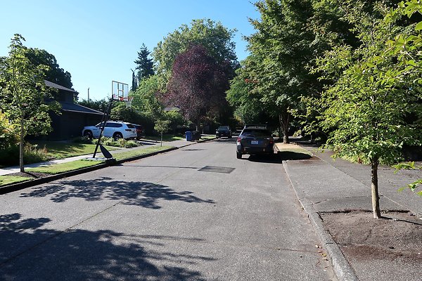 Madison Park Residential Streets 2025 - 45