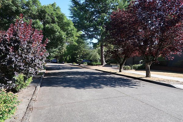 Madison Park Residential Streets 2025 - 42