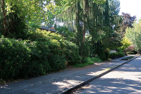 Madison Park Residential Streets 2025 - 56