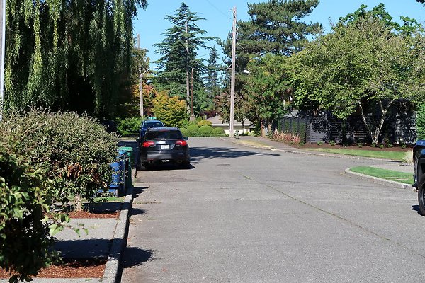 Madison Park Residential Streets 2025 - 81