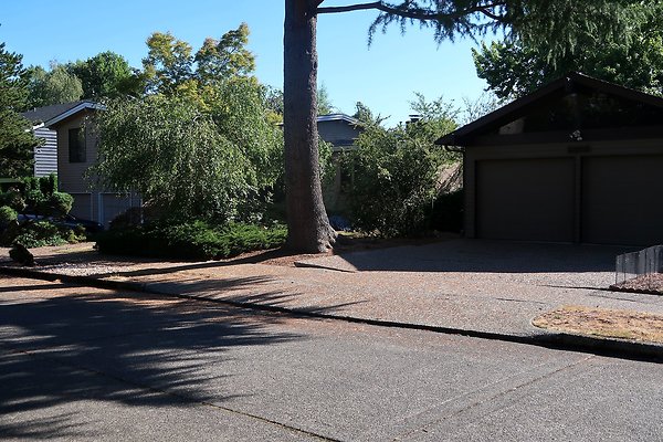 Madison Park Residential Streets 2025 - 39