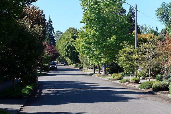 Madison Park Residential Streets 2025 - 20